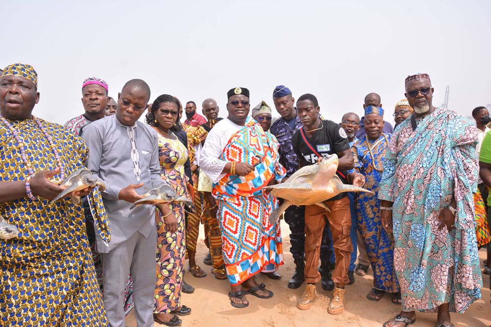 Togo : Lancement officiel de l’édition 2025 de la Journée Nationale des Tortues Marines et Formation des Ecogardes