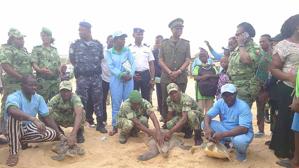 Bénin : Journée internationale de la Biodiversité 2025: Vie en harmonie avec la nature, les autorités s’impliquent fortement