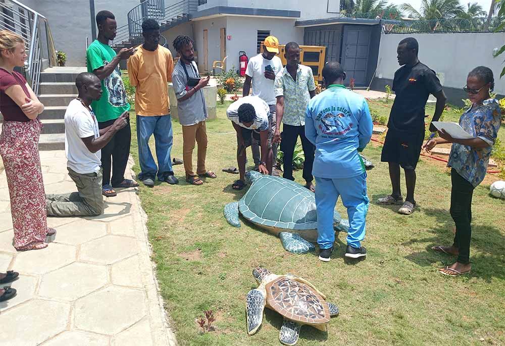 Togo: Nature Tropicale ONG renforce les capacités des Ecogardes sur la biologie et la conservation des tortues marines de l’Atlantique