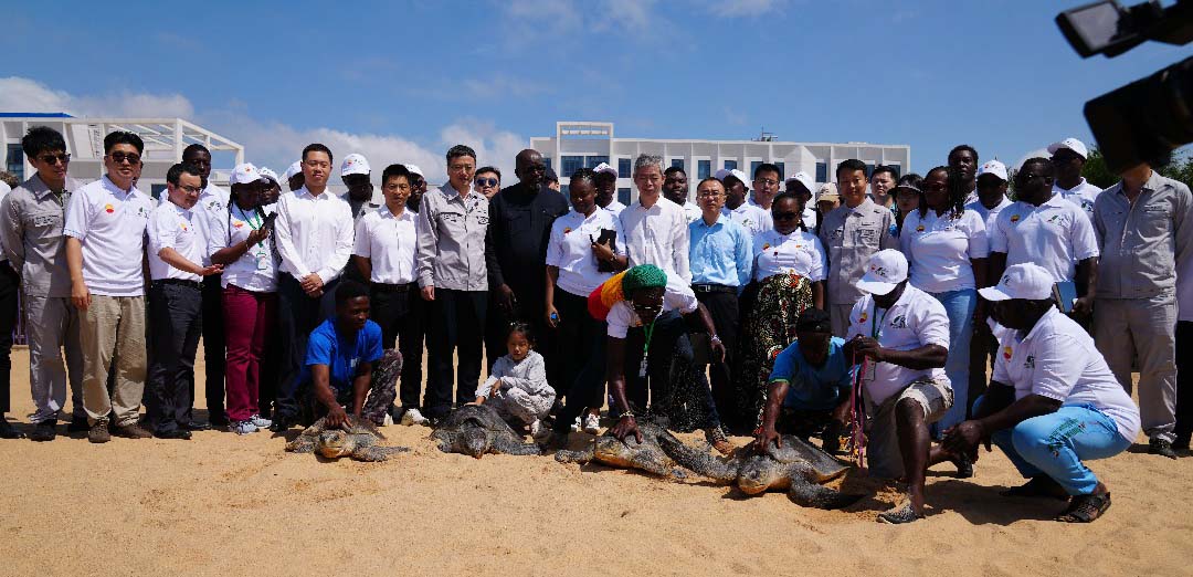 Bénin: Protection des tortues marines dans l’AMP de Donaten : Nature Tropicale ONG accompagne WAPCO-BENIN dans la mise en œuvre de sa politique de responsabilités sociales et environnementales (RSE)
